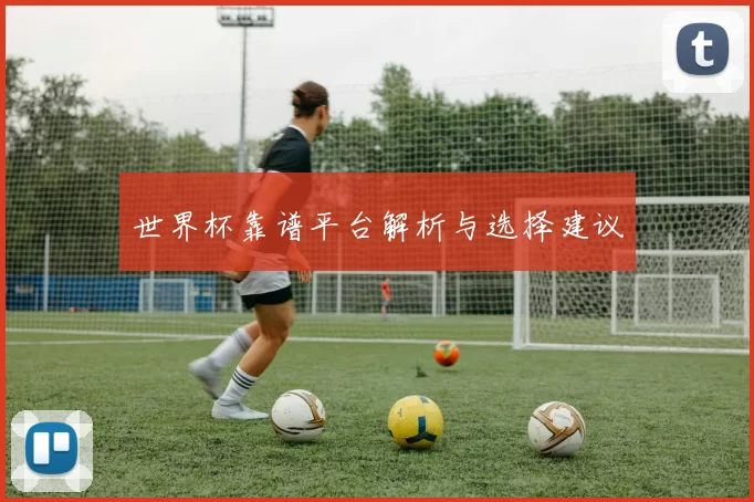 世界杯靠谱平台解析与选择建议