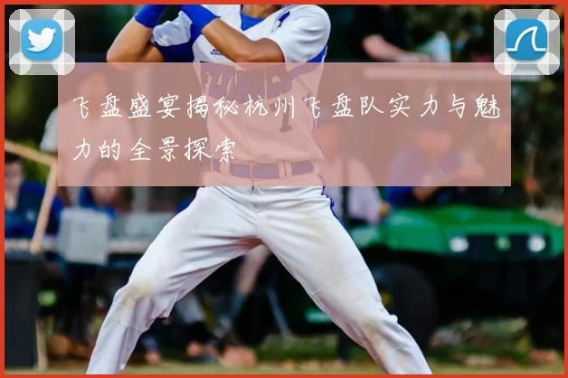 飞盘盛宴揭秘杭州飞盘队实力与魅力的全景探索