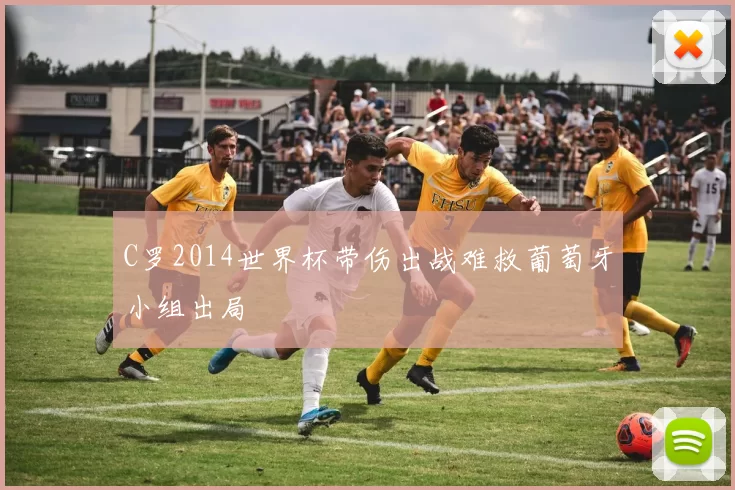 C罗2014世界杯带伤出战难救葡萄牙小组出局