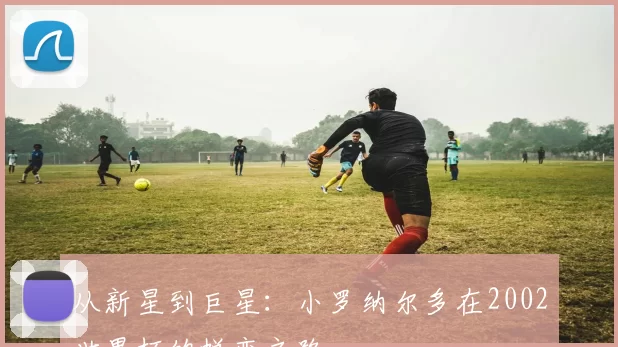从新星到巨星：小罗纳尔多在2002世界杯的蜕变之路