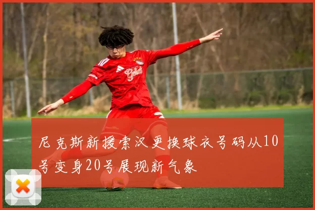 尼克斯新援索汉更换球衣号码从10号变身20号展现新气象