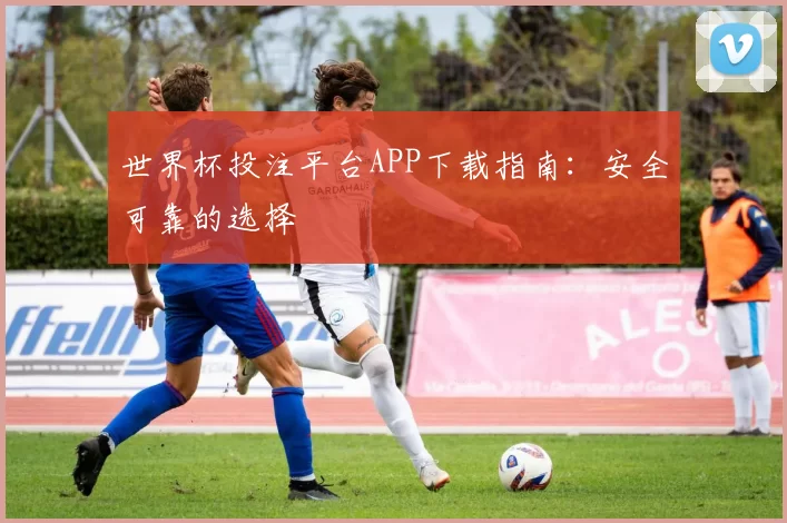 世界杯投注平台APP下载指南:安全可靠的选择