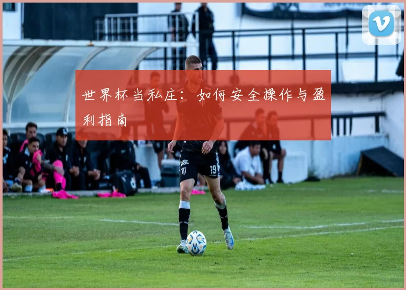 世界杯当私庄:如何安全操作与盈利指南