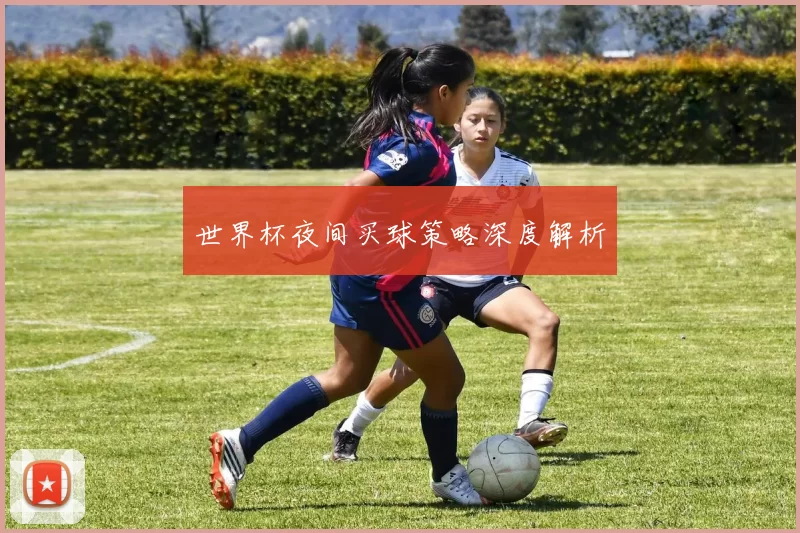 世界杯夜间买球策略深度解析