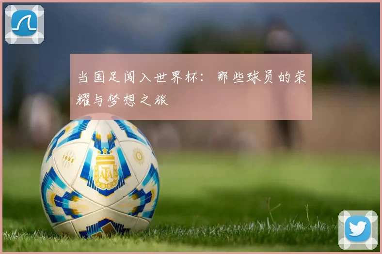 当国足闯入世界杯：那些球员的荣耀与梦想之旅