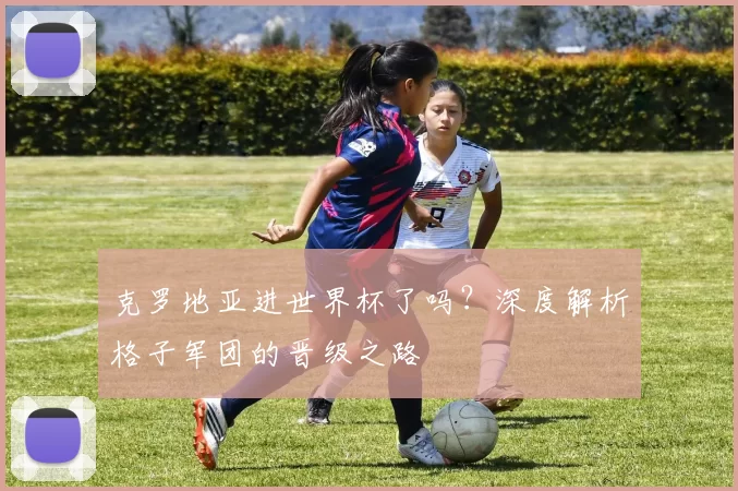 克罗地亚进世界杯了吗？深度解析格子军团的晋级之路