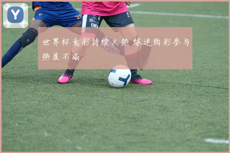 世界杯竞彩持续火热 球迷购彩参与热度不减