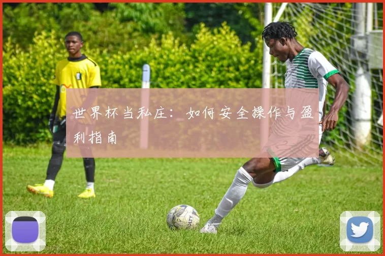 世界杯当私庄:如何安全操作与盈利指南