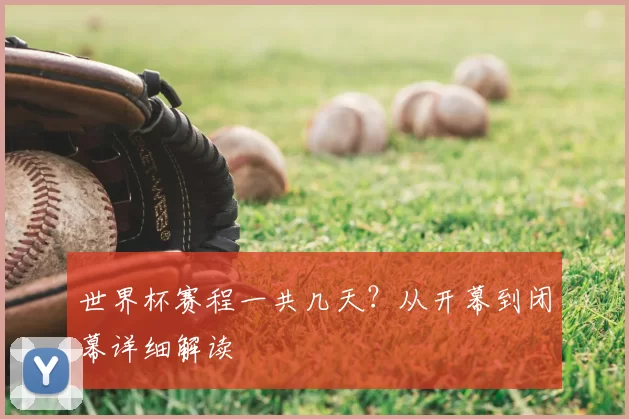 世界杯赛程一共几天?从开幕到闭幕详细解读