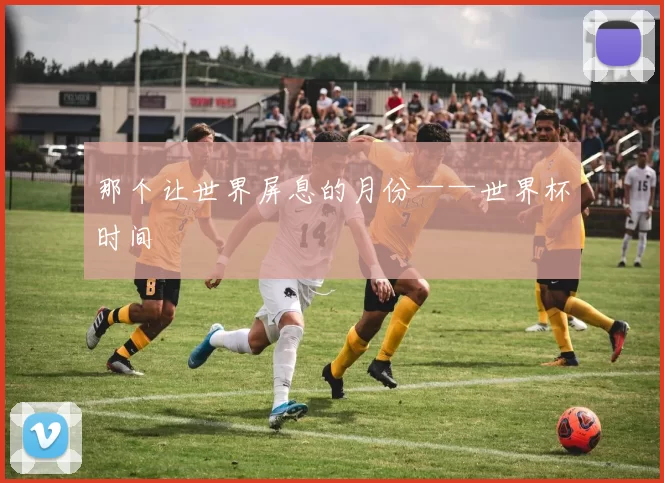 那个让世界屏息的月份——世界杯时间