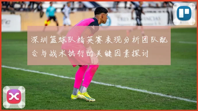深圳篮球队精英赛表现分析团队配合与战术执行的关键因素探讨